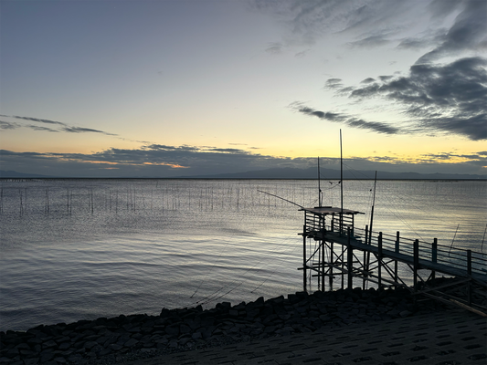 Winter Wonders of the Ariake Sea: A Hidden Japanese Gem